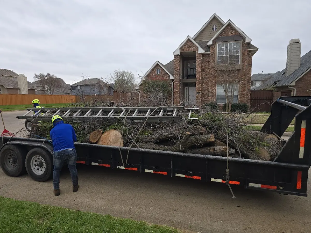 Expert Lot Clearing with proper safety equipment in Cleveland